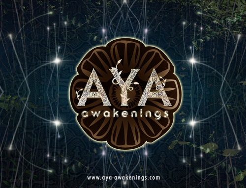 When should we use entheogens like DMT and ayahuasca?