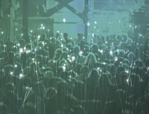 Can a generation of shamanauts map the ayahuasca / DMT visionary realm?