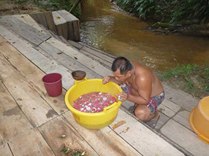 aya-awakening-retreat-flowers
