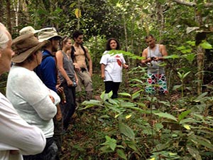 aya-awakening-retreat-jungle